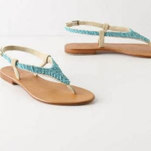 Turquoise Dulcina Slingbacks by Cocobelle